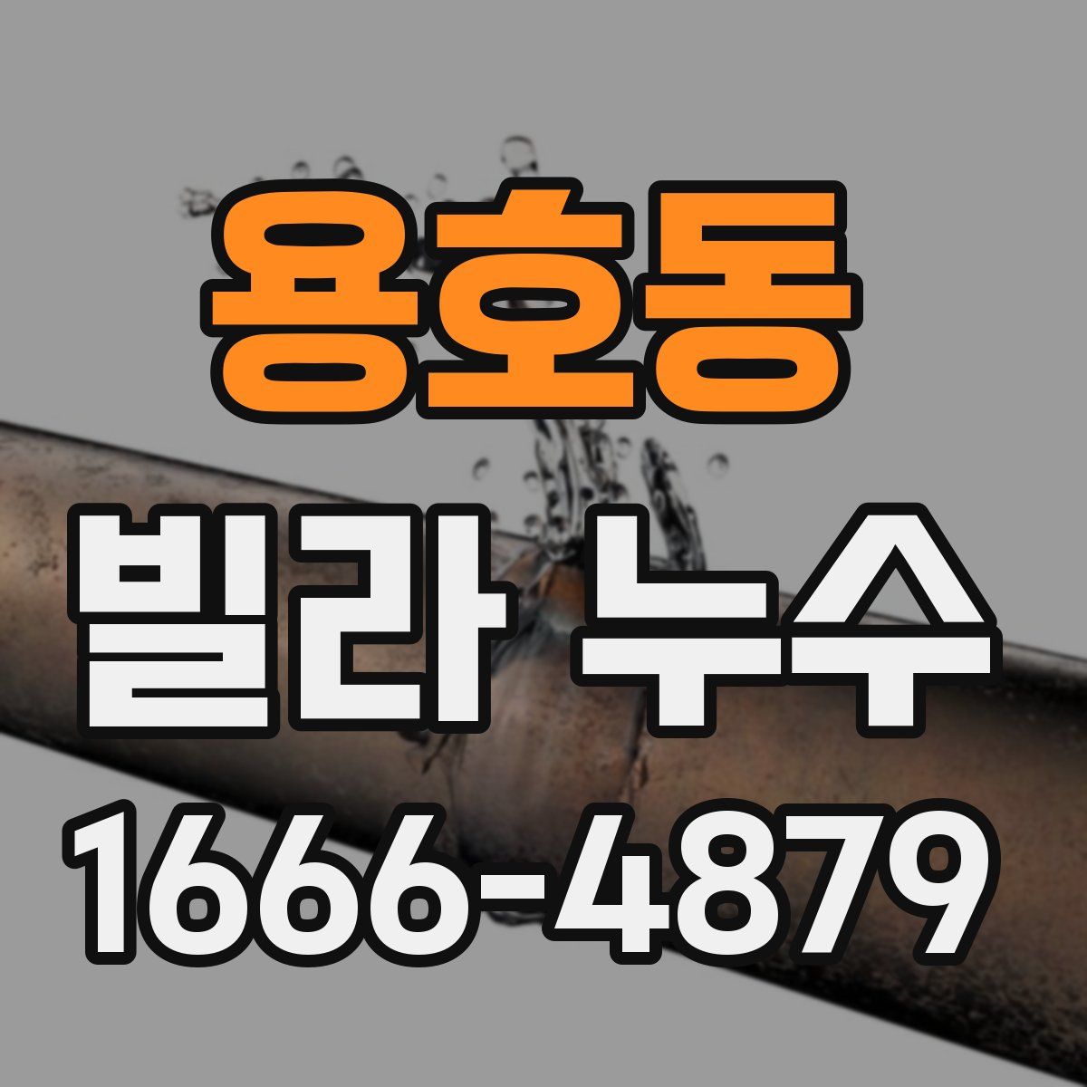 용호동 빌라 누수