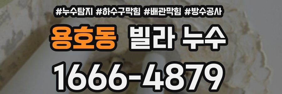 용호동 빌라 누수
