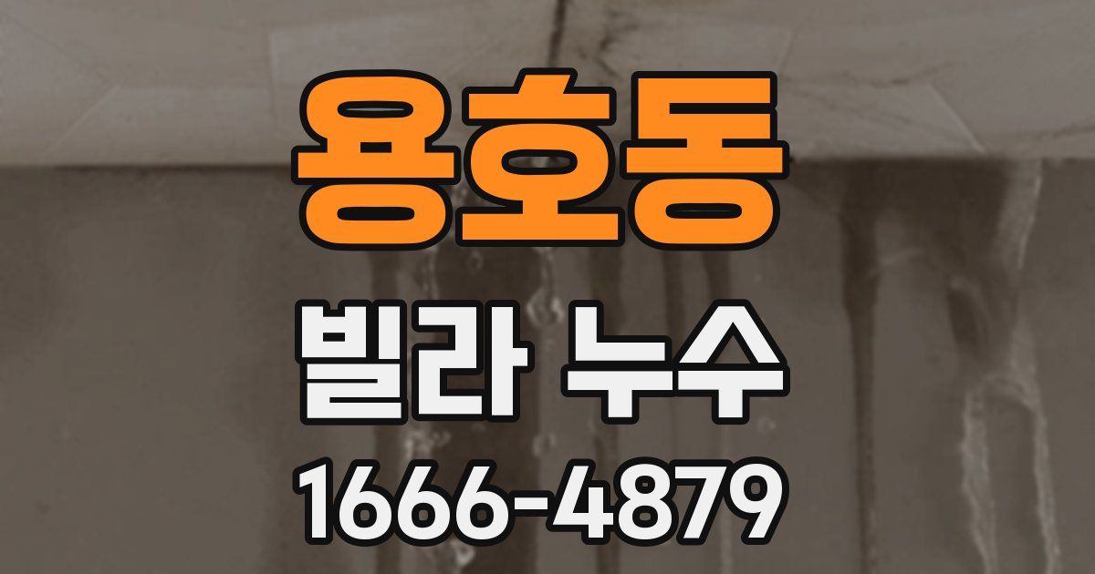 용호동 빌라 누수