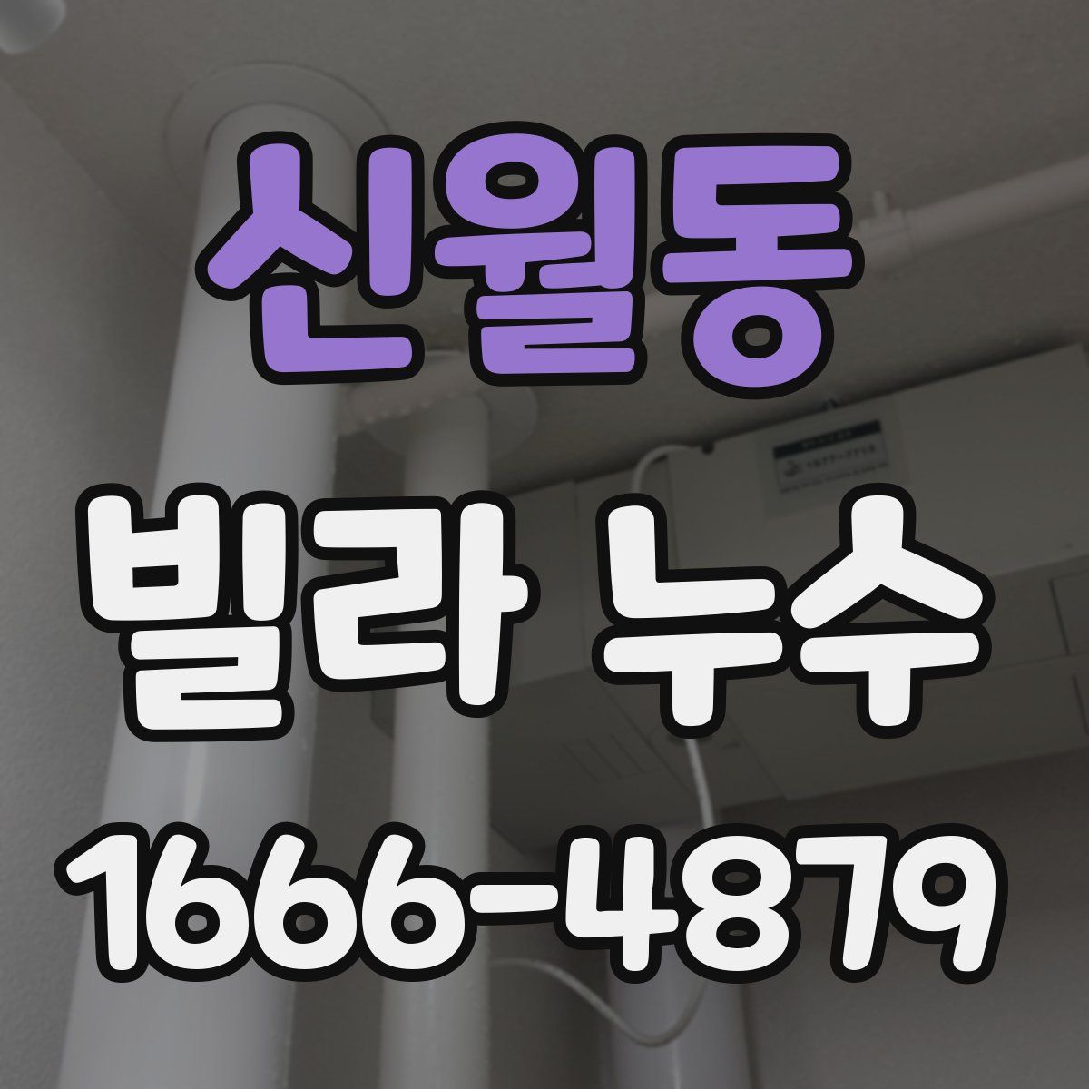 신월동 빌라 누수