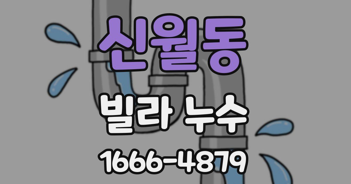 신월동 빌라 누수