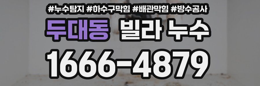 두대동 빌라 누수