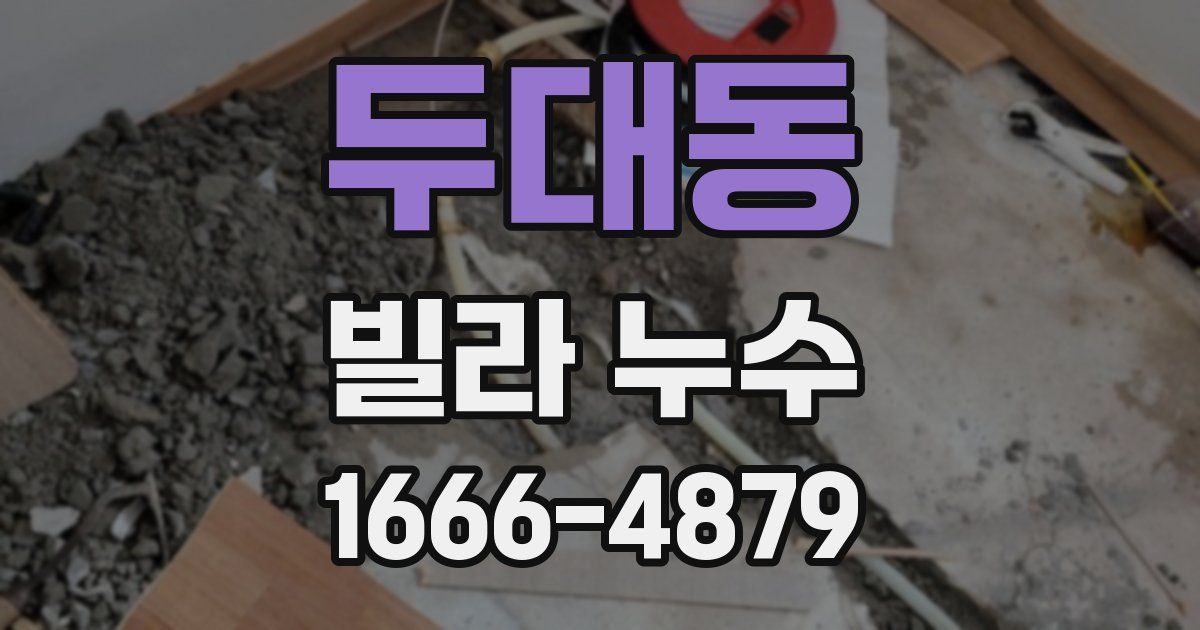 두대동 빌라 누수