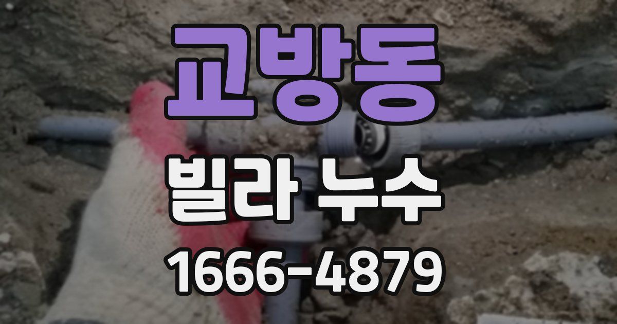 교방동 빌라 누수