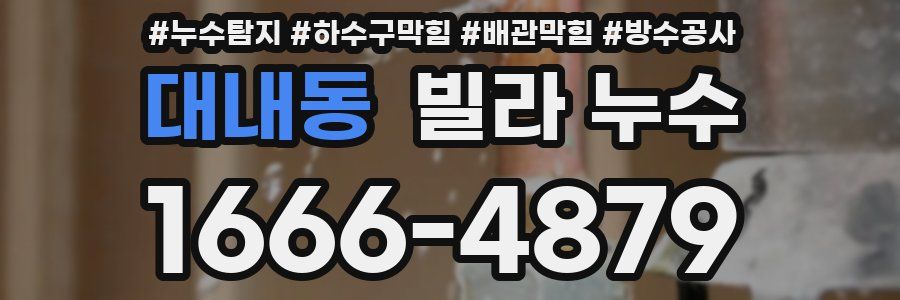 대내동 빌라 누수