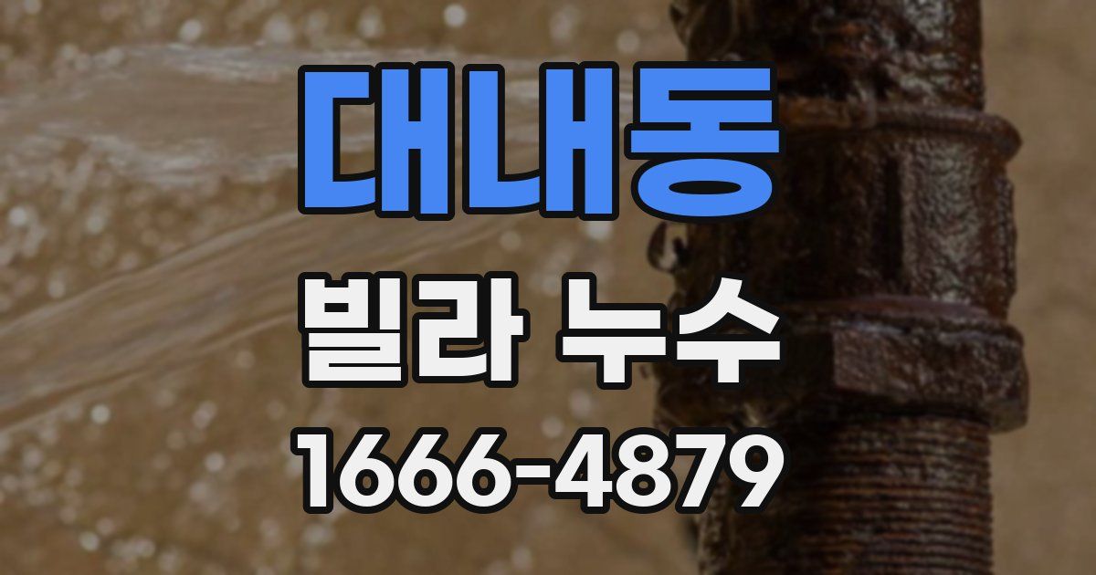 대내동 빌라 누수