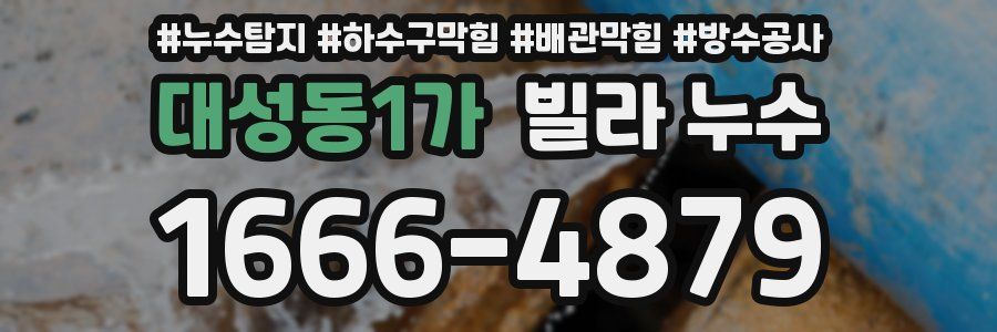 대성동1가 빌라 누수