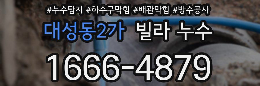 대성동2가 빌라 누수