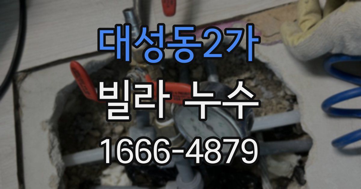 대성동2가 빌라 누수