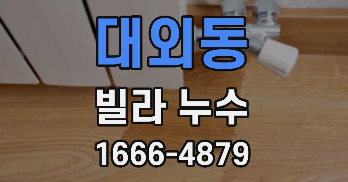 대외동 빌라 누수