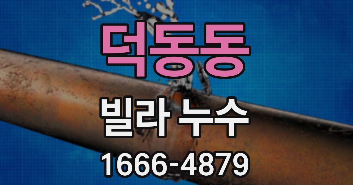 덕동동 빌라 누수