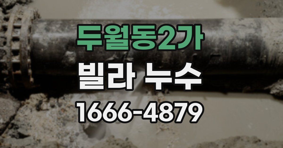 두월동2가 빌라 누수