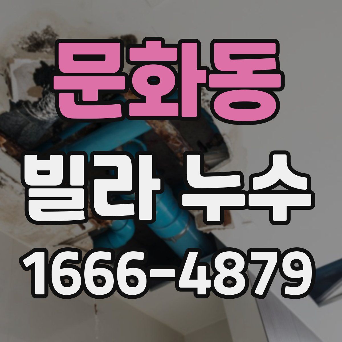 문화동 빌라 누수