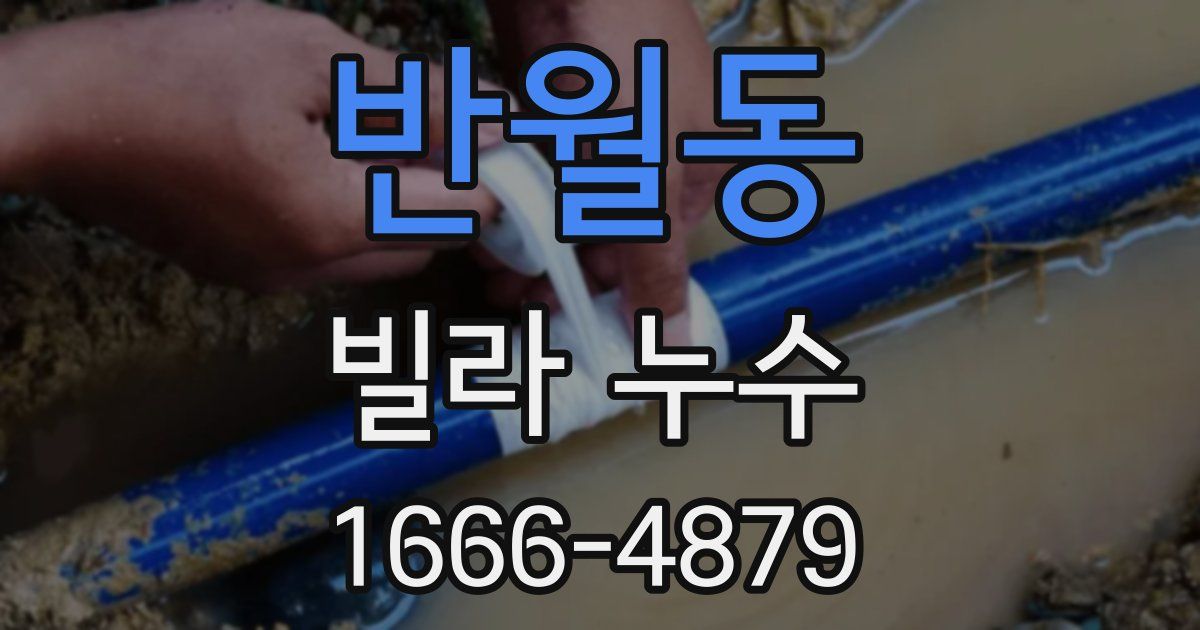 반월동 빌라 누수