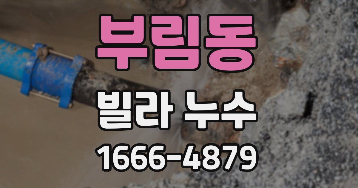 부림동 빌라 누수