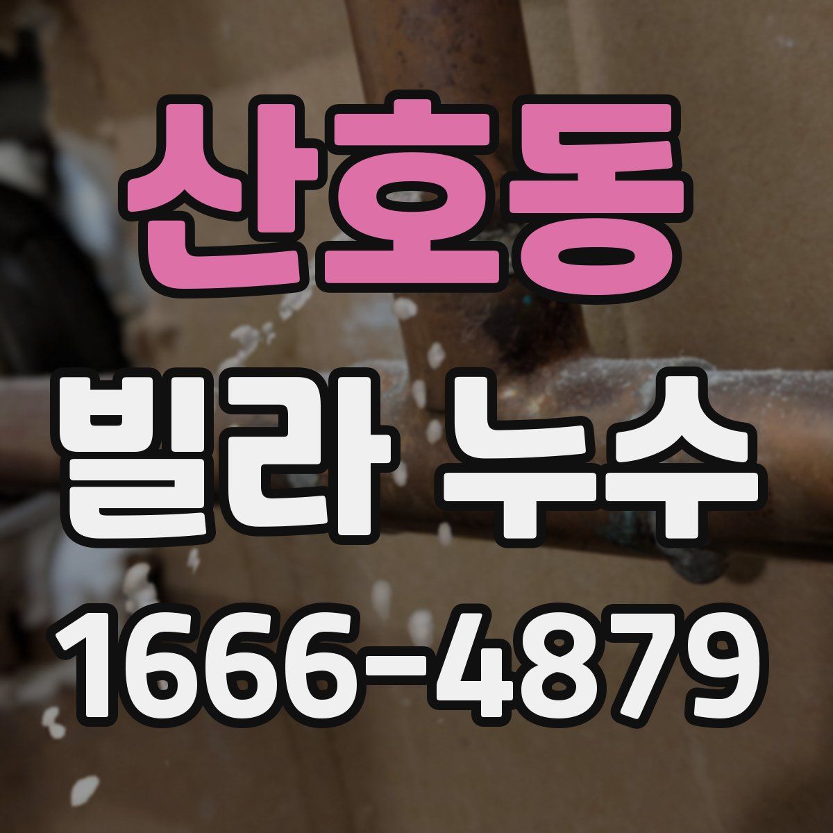 산호동 빌라 누수