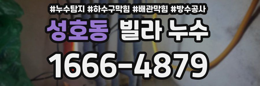 성호동 빌라 누수