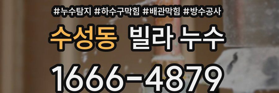 수성동 빌라 누수