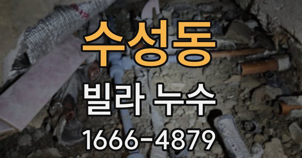 수성동 빌라 누수
