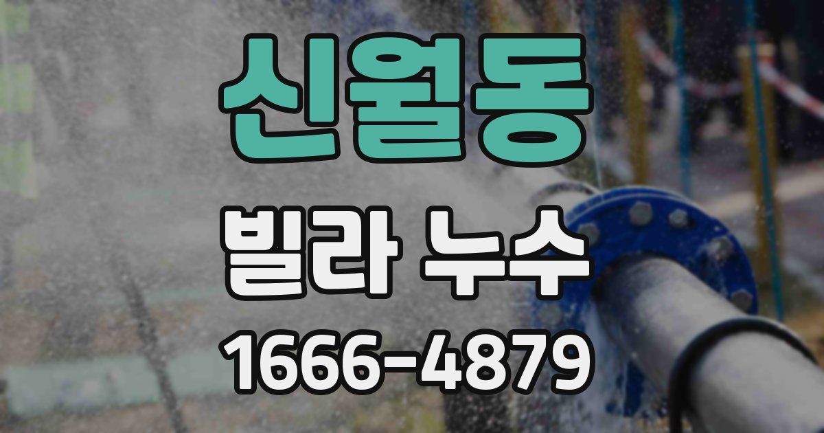 신월동 빌라 누수