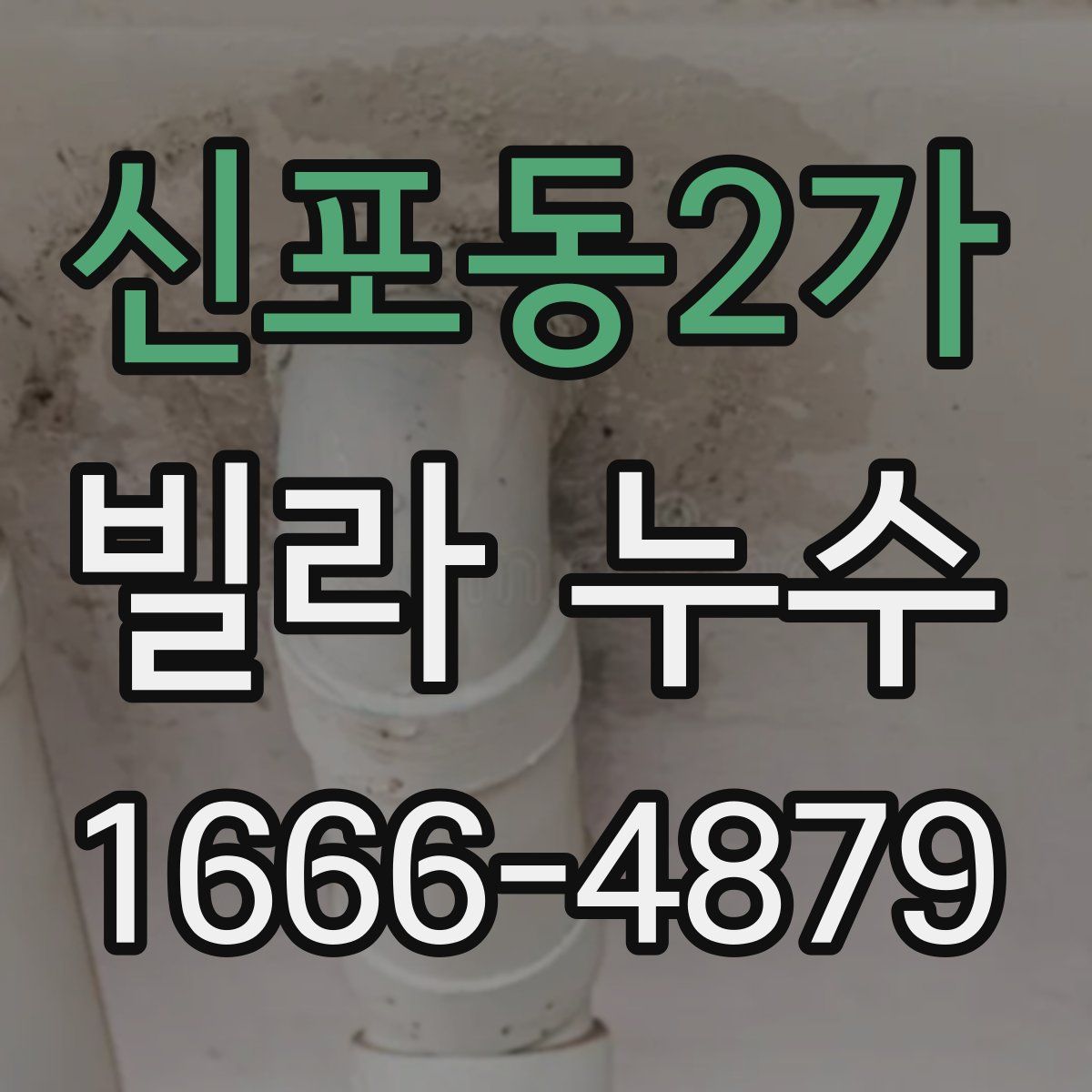 신포동2가 빌라 누수