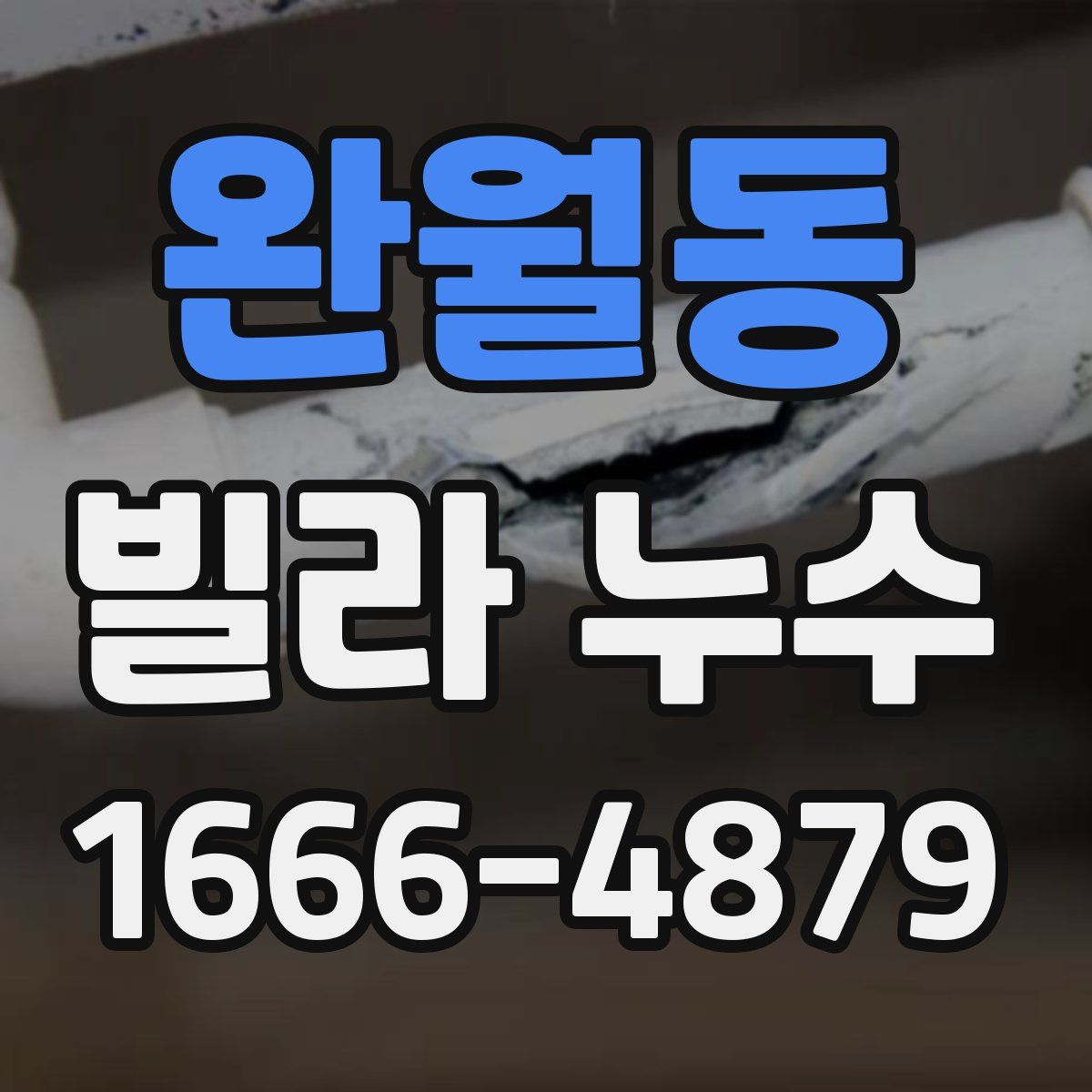 완월동 빌라 누수