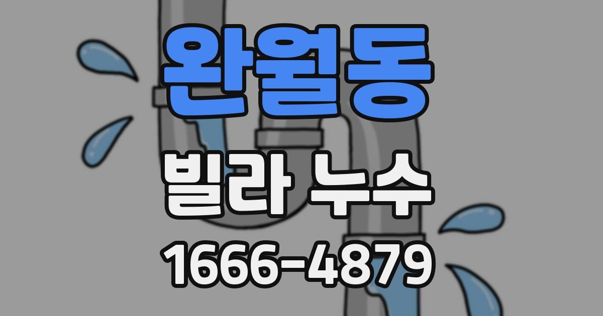 완월동 빌라 누수