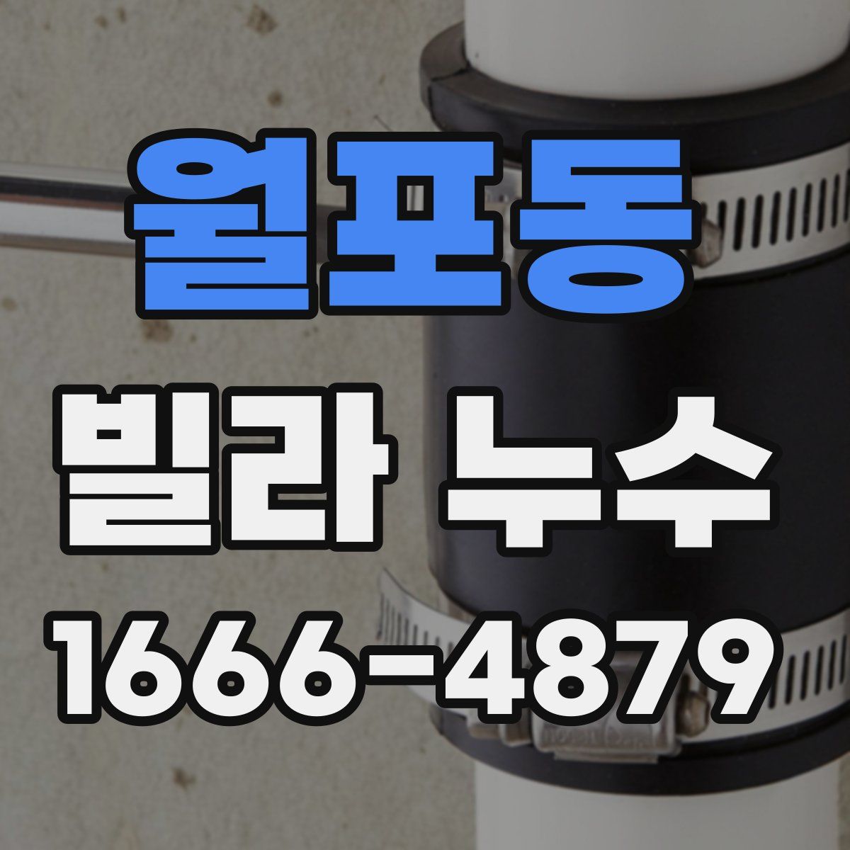 월포동 빌라 누수