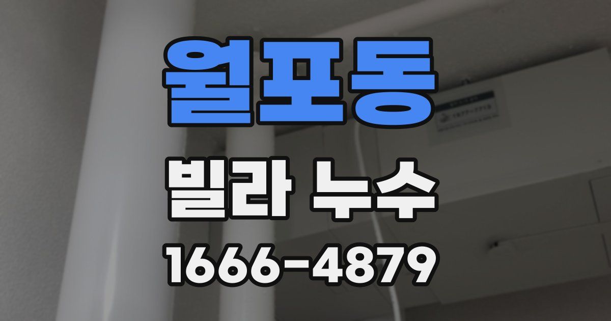 월포동 빌라 누수