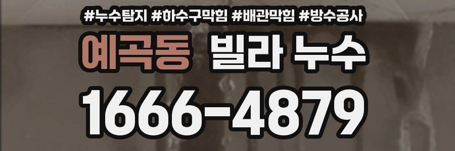예곡동 빌라 누수