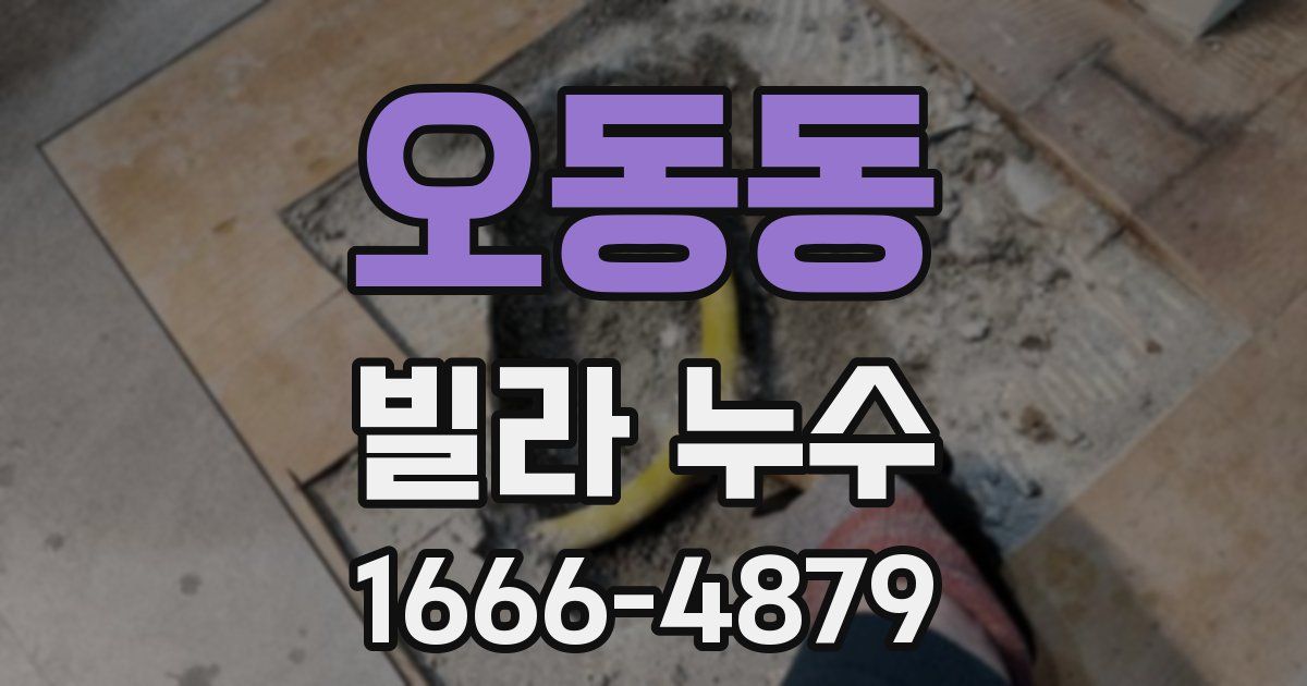 오동동 빌라 누수