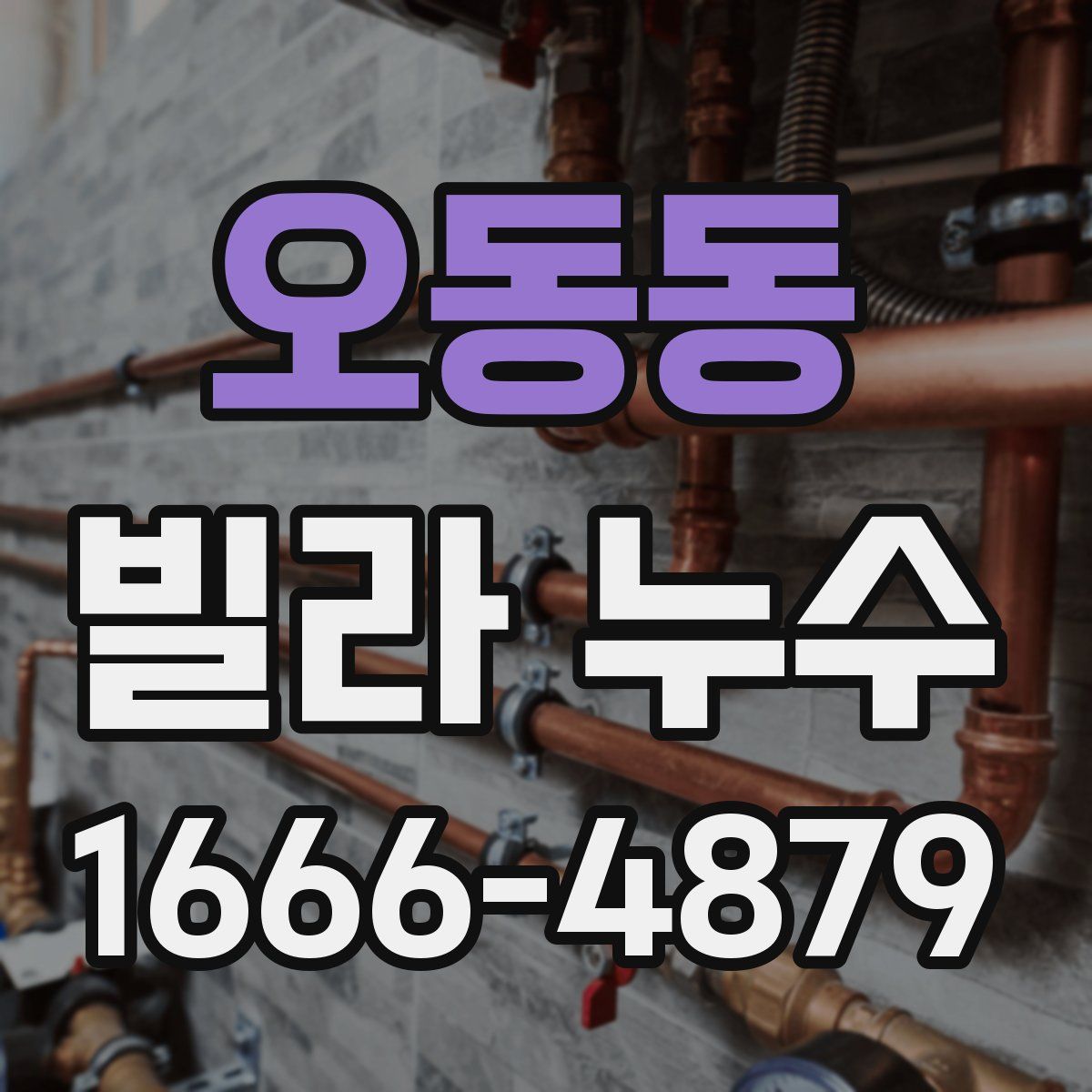 오동동 빌라 누수