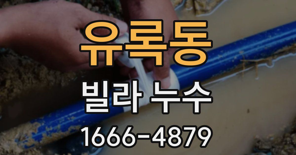 유록동 빌라 누수