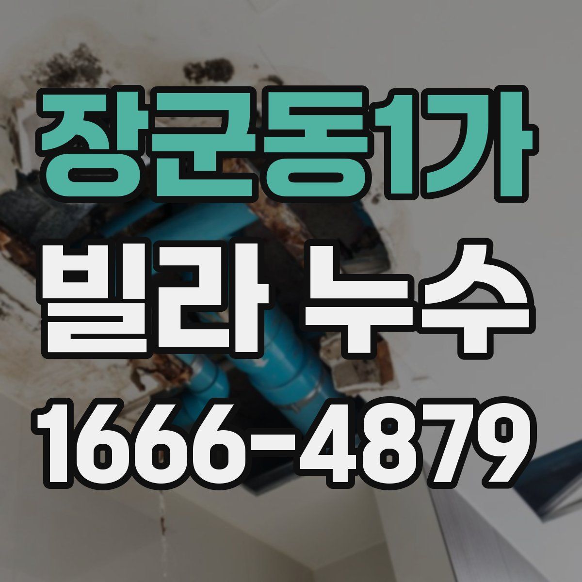 장군동1가 빌라 누수