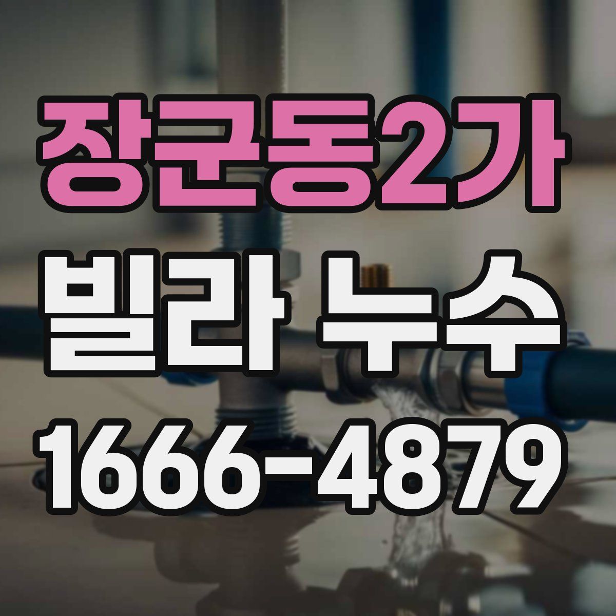 장군동2가 빌라 누수