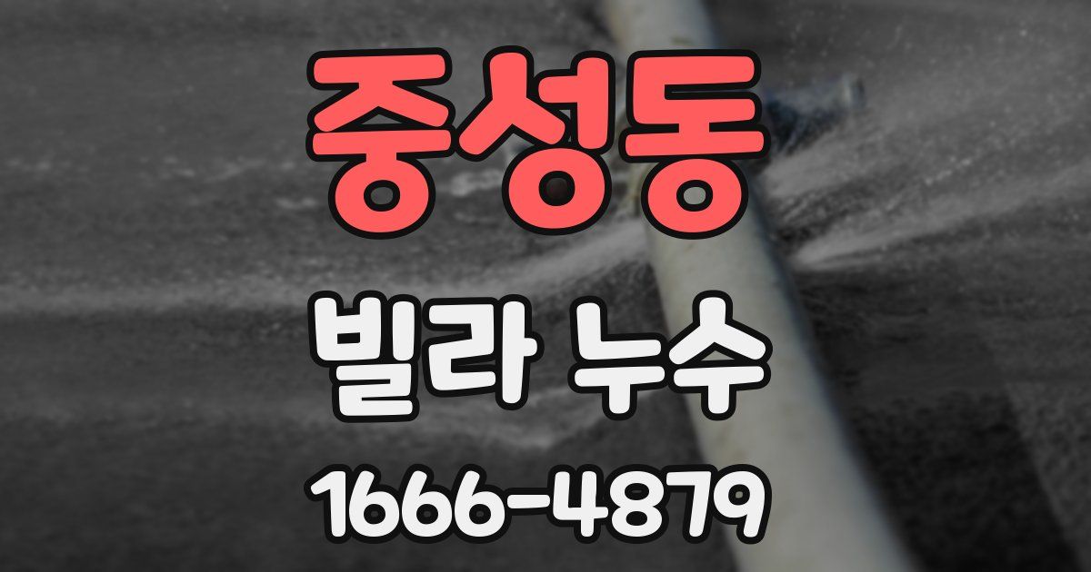 중성동 빌라 누수