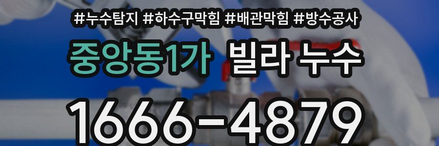 중앙동1가 빌라 누수