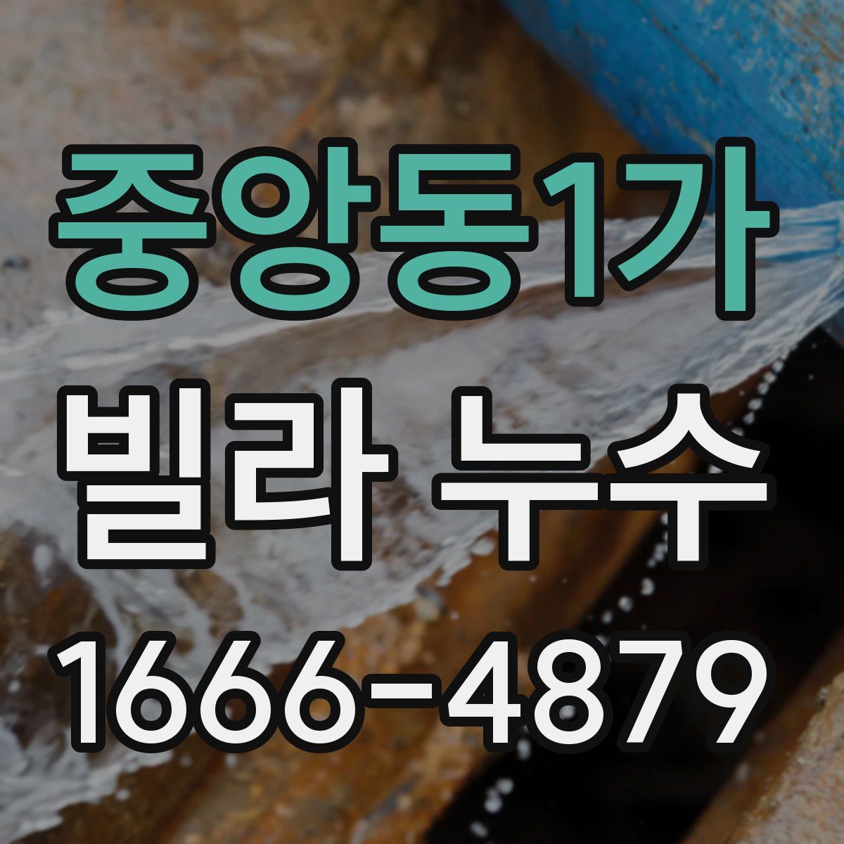 중앙동1가 빌라 누수