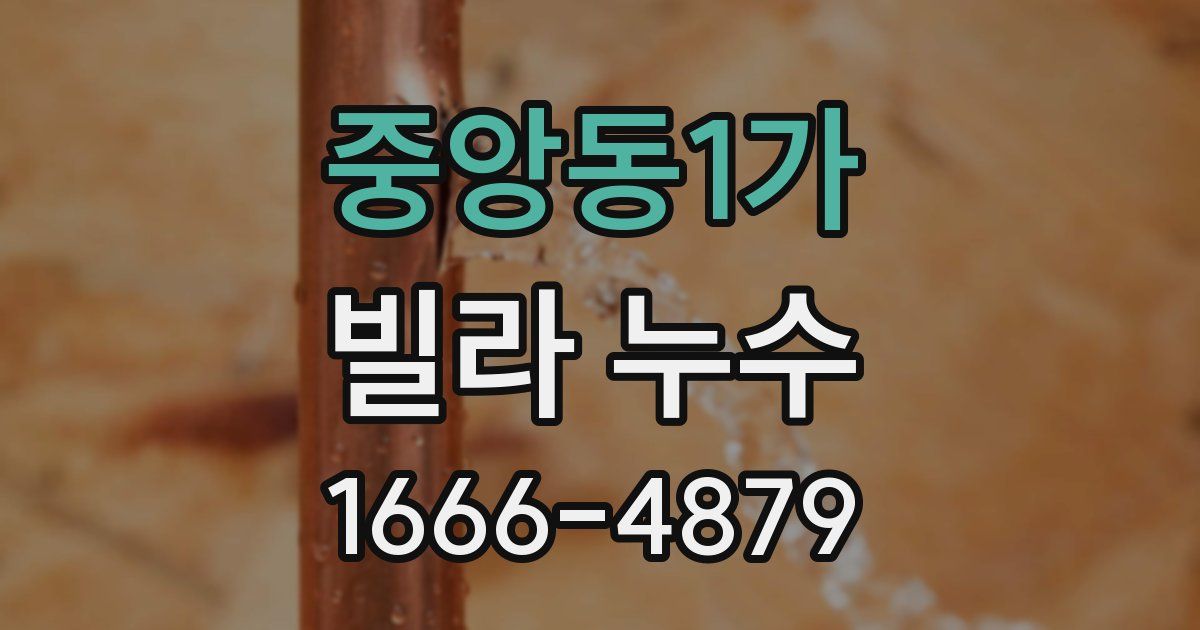 중앙동1가 빌라 누수