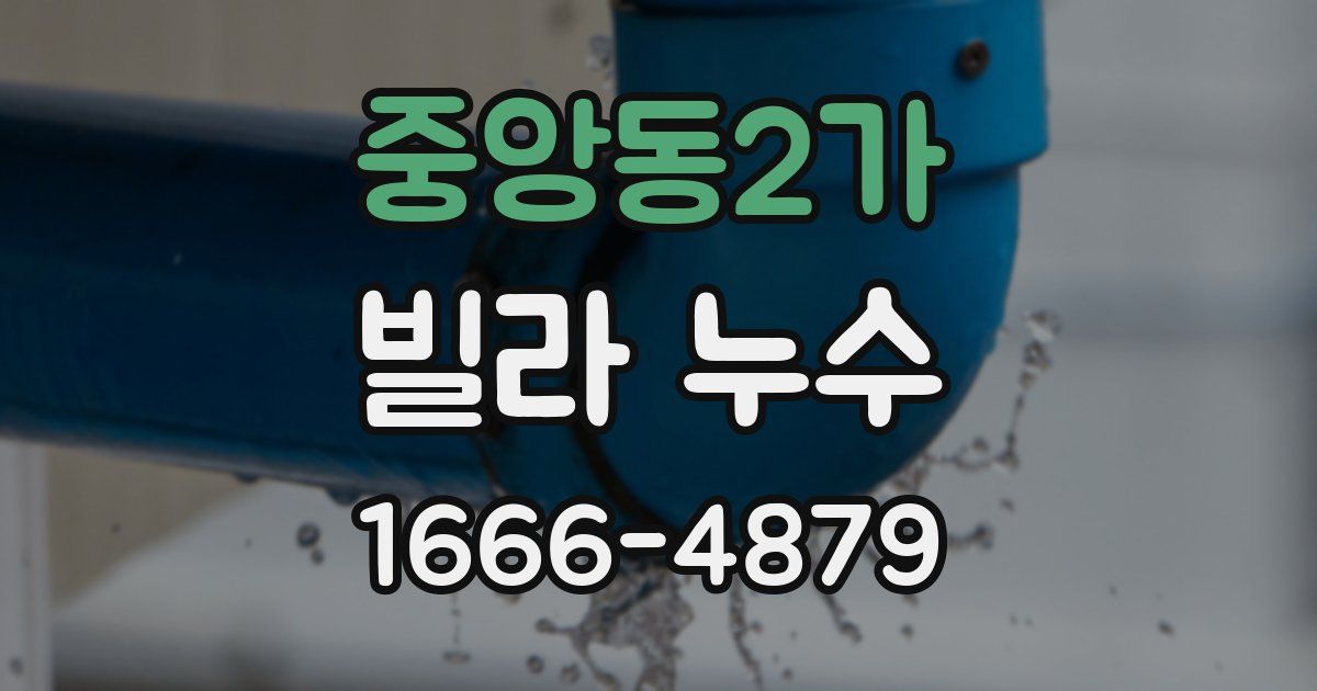 중앙동2가 빌라 누수