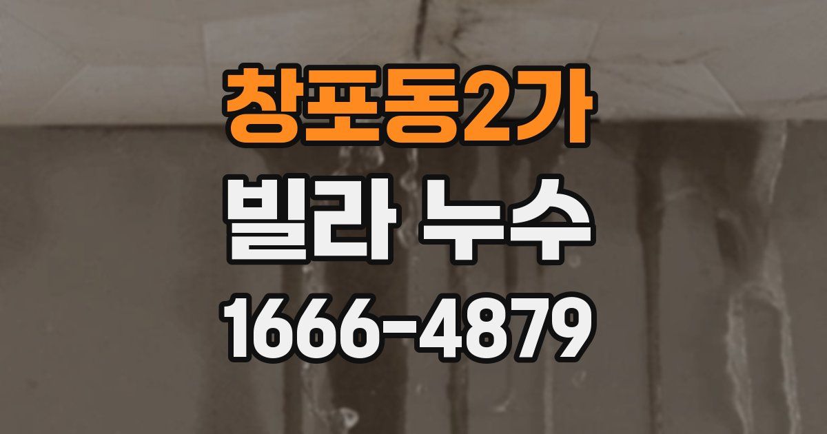 창포동2가 빌라 누수