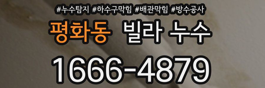 평화동 빌라 누수