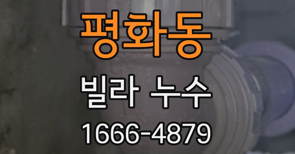 평화동 빌라 누수