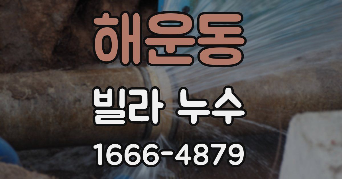 해운동 빌라 누수