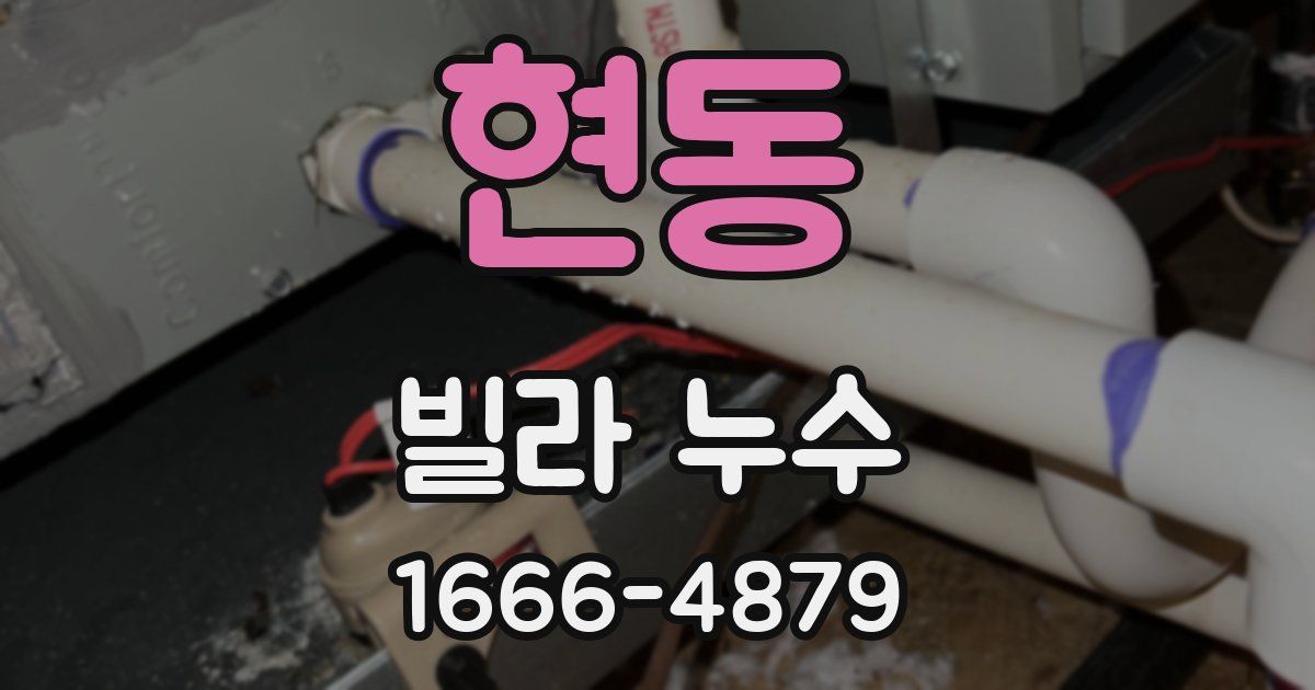 현동 빌라 누수