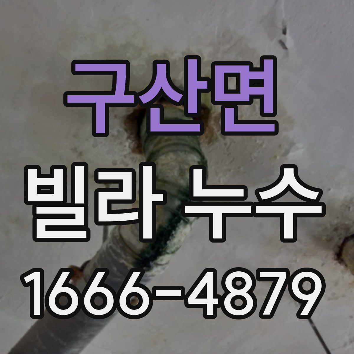 구산면 빌라 누수