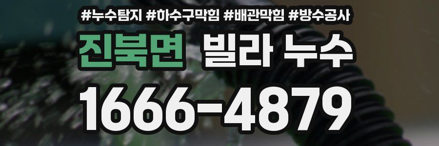 진북면 빌라 누수