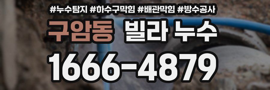 구암동 빌라 누수