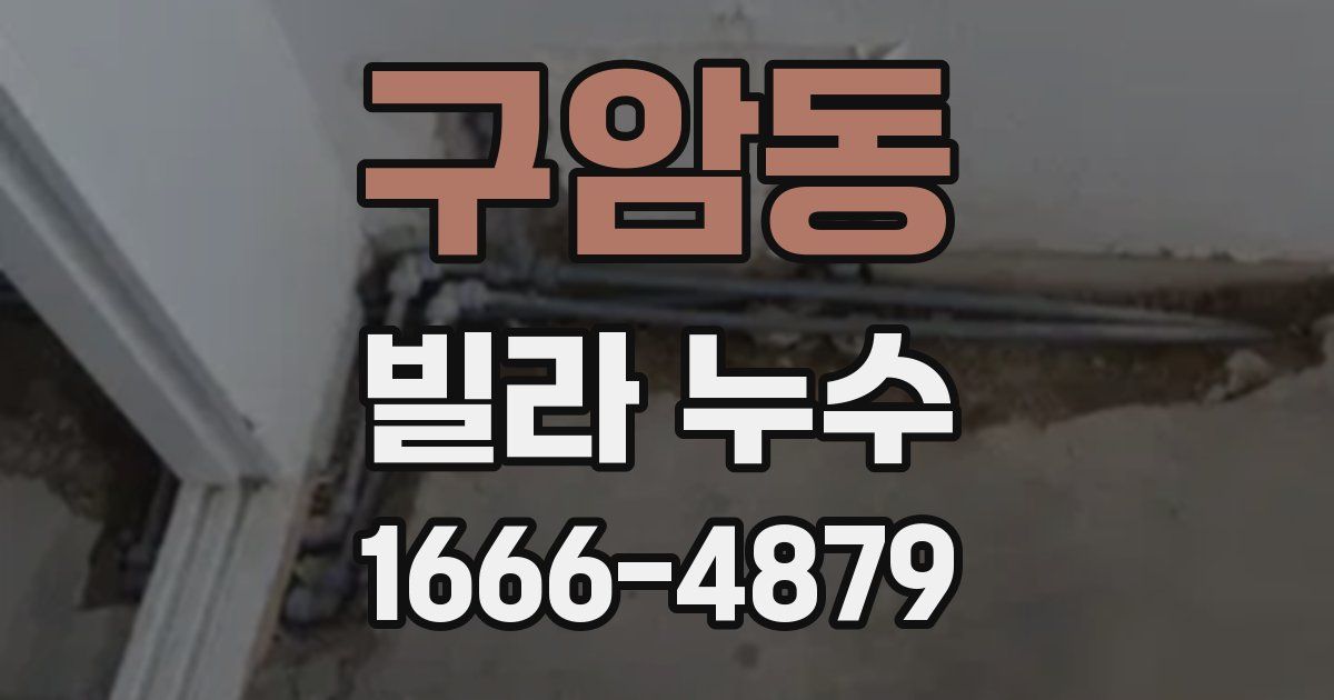 구암동 빌라 누수