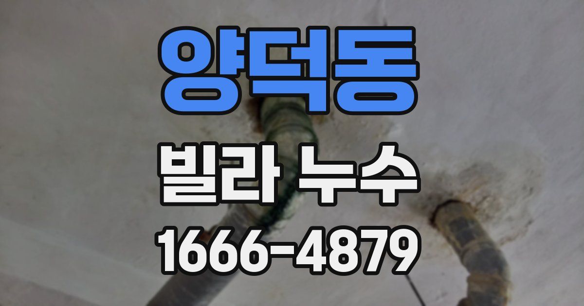양덕동 빌라 누수